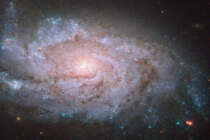 Spiralgalaxie NGC 1084 (Bild: NASA, ESA, S. Smartt)