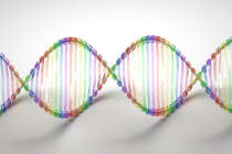 Buntes DNA-Modell (Bild: Caroline Davis2010/Visualhunt)